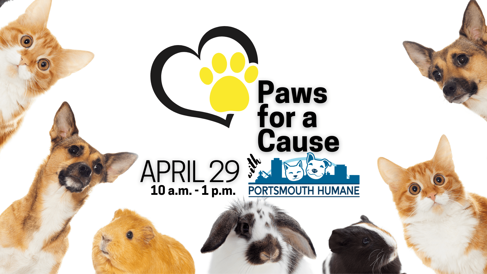 paws for a cause